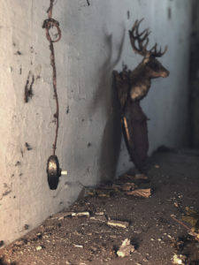 Foto inquietanti di una vecchia casa abbandonata
