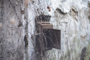 Un incantevole palazzo nobiliare abbandonato