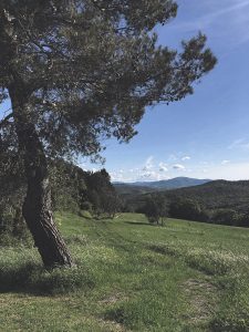 Il Borgo Abbandonato di Buriano Urbex Toscana