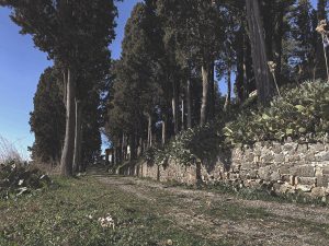 Il Borgo Abbandonato di Buriano Urbex Toscana