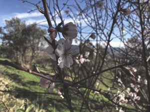 Il Borgo Abbandonato di Buriano Urbex Toscana