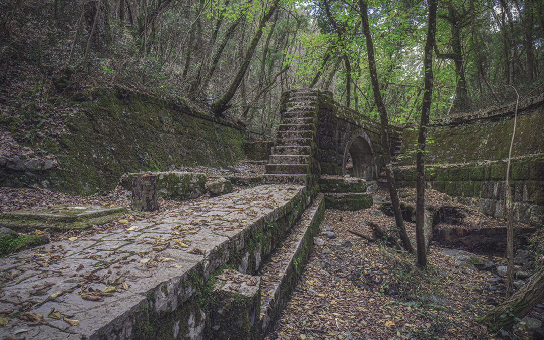 L’antico Acquedotto che Attraversa la Foresta